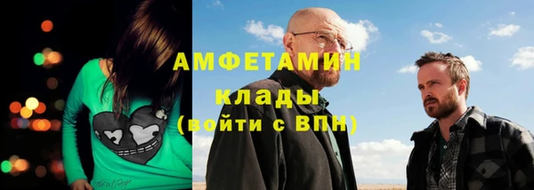 тгк Бородино