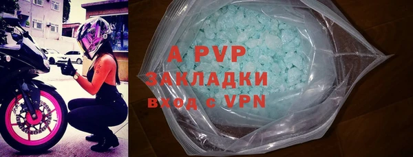 тгк Бородино